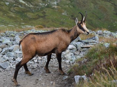 Бившият министър на околната среда и водите Борислав Сандов и